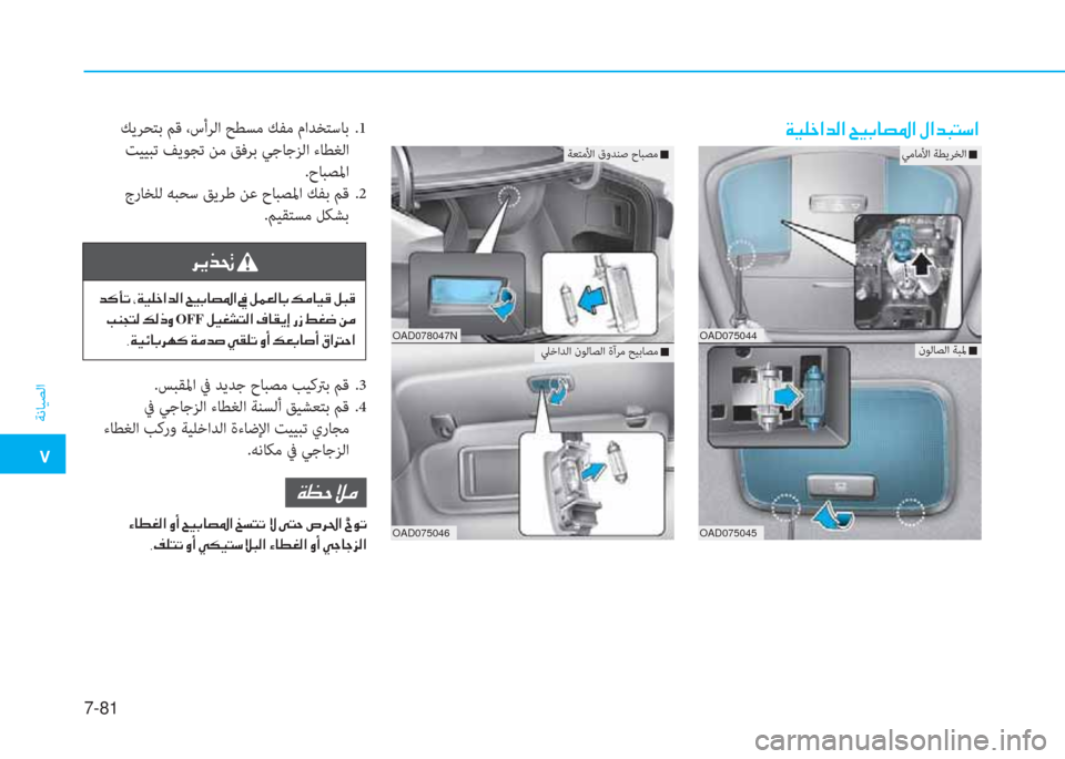 Hyundai Elantra 2019  دليل المالك �م
ﺔﻧﺎﻴﺼﻟا
7-81
�a�®�6�ء�ﳌ�ﺾ�ﴫ�ﳌ�ن�U�®�ﺬ�ﺷ�ﺜ�5�ﳌ�ن�»�ﳌ�ﺾ�ً�ﻢ�ﻲ�ﳌ ﻚﻳﺮﺤﺘﺑ ﻢﻗ ،سأﺮﻟا ﺢﻄﺴﻣ ﻚﻔﻣ ماﺪﺨﺘﺳﺎﺑ  