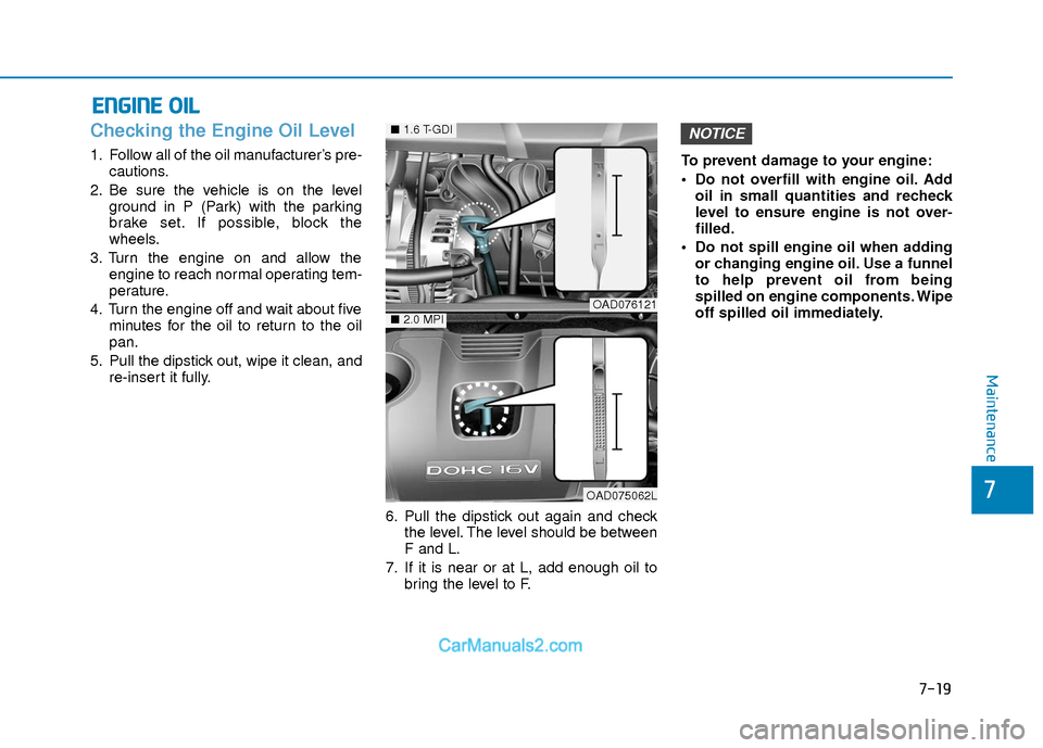 Hyundai Elantra 2018 Owners Manual 7-19
7
Maintenance
E
EN
N G
GI
IN
N E
E
O
O I
IL
L
Checking the Engine Oil Level
1. Follow all of the oil manufacturer’s pre-
cautions.
2. Be sure the vehicle is on the level ground in P (Park) w Hyundai Elantra 2018 Owners Manual 7-19
7
Maintenance
E
EN
N G
GI
IN
N E
E
O
O I
IL
L
Checking the Engine Oil Level
1. Follow all of the oil manufacturer’s pre-
cautions.
2. Be sure the vehicle is on the level ground in P (Park) w