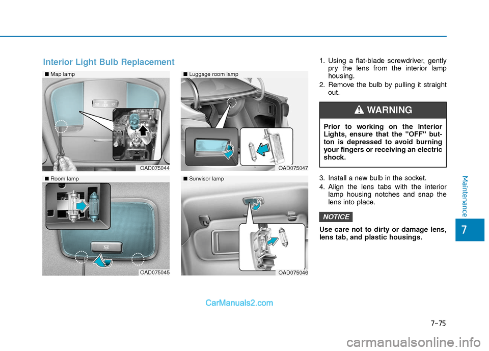 Hyundai Elantra 2018  Owners Manual 7-75
7
Maintenance
1. Using a flat-blade screwdriver, gentlypry the lens from the interior lamp
housing.
2. Remove the bulb by pulling it straight out.
3. Install a new bulb in the socket.
4. Align th