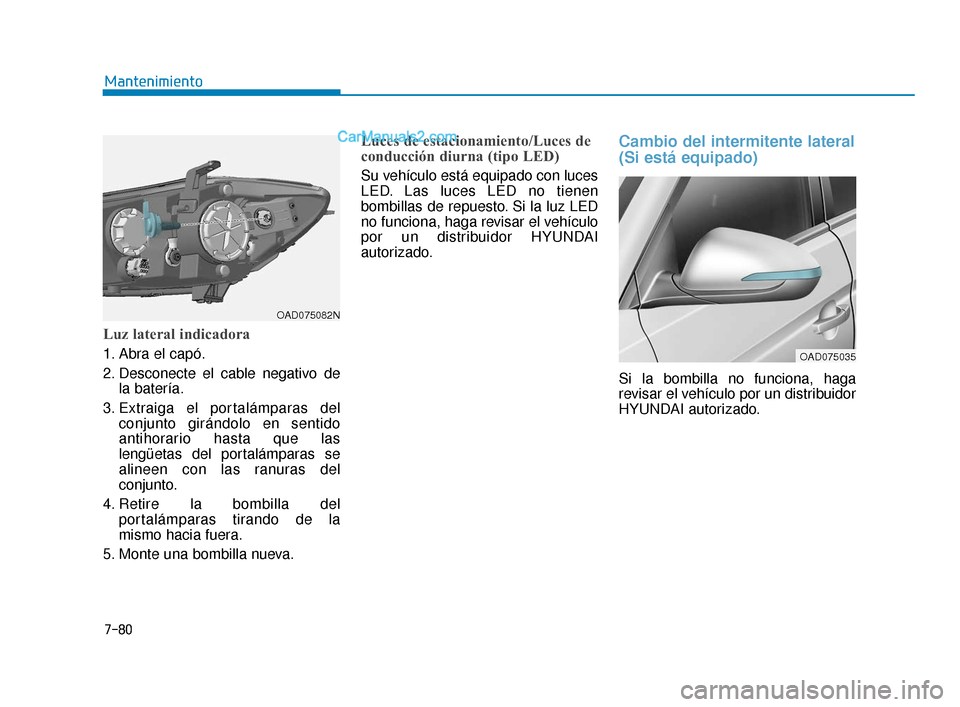 Hyundai Elantra 2018  Manual del propietario (in Spanish) 7-80
Mantenimiento
Luz lateral indicadora
1. Abra el capó.
2. Desconecte el cable negativo dela batería.
3. Extraiga el portalámparas del conjunto girándolo en sentido
antihorario hasta que las
le