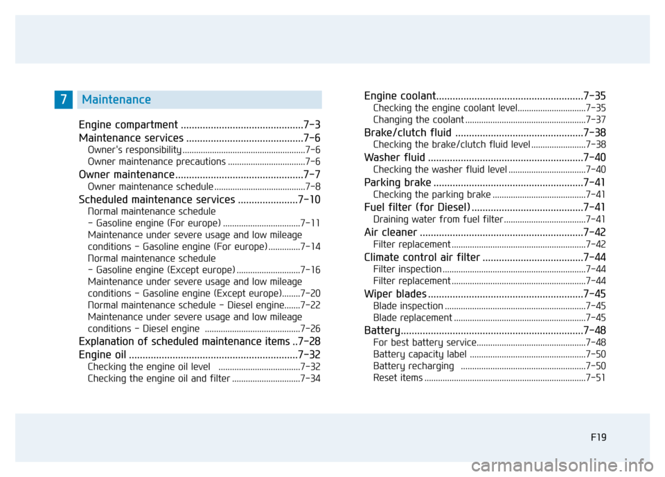 Hyundai Elantra 2017  Owners Manual F19
Engine compartment .............................................7-3
Maintenance services ...........................................7-6
Owners responsibility .....................................