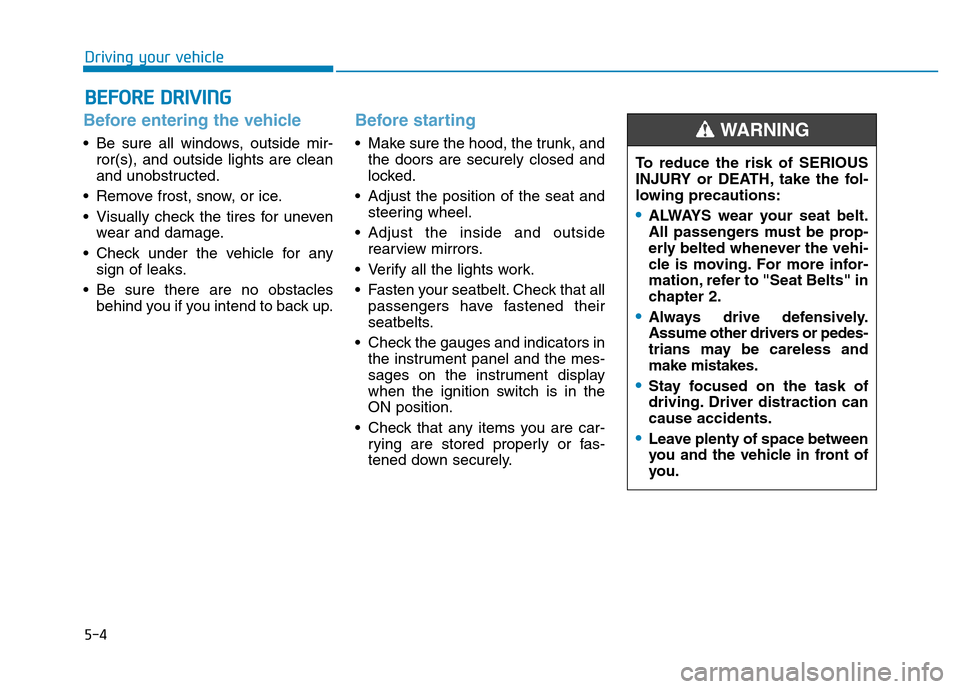 Hyundai Elantra 2017  Owners Manual 5-4
Driving your vehicle
Before entering the vehicle 
• Be sure all windows, outside mir-
ror(s), and outside lights are clean
and unobstructed.
• Remove frost, snow, or ice.
• Visually check th