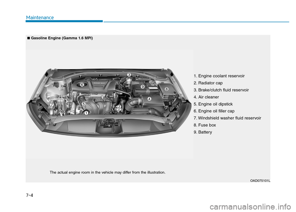 Hyundai Elantra 2017  Owners Manual 7-4
Maintenance
1. Engine coolant reservoir
2. Radiator cap
3. Brake/clutch fluid reservoir
4. Air cleaner
5. Engine oil dipstick
6. Engine oil filler cap
7. Windshield washer fluid reservoir
8. Fuse 