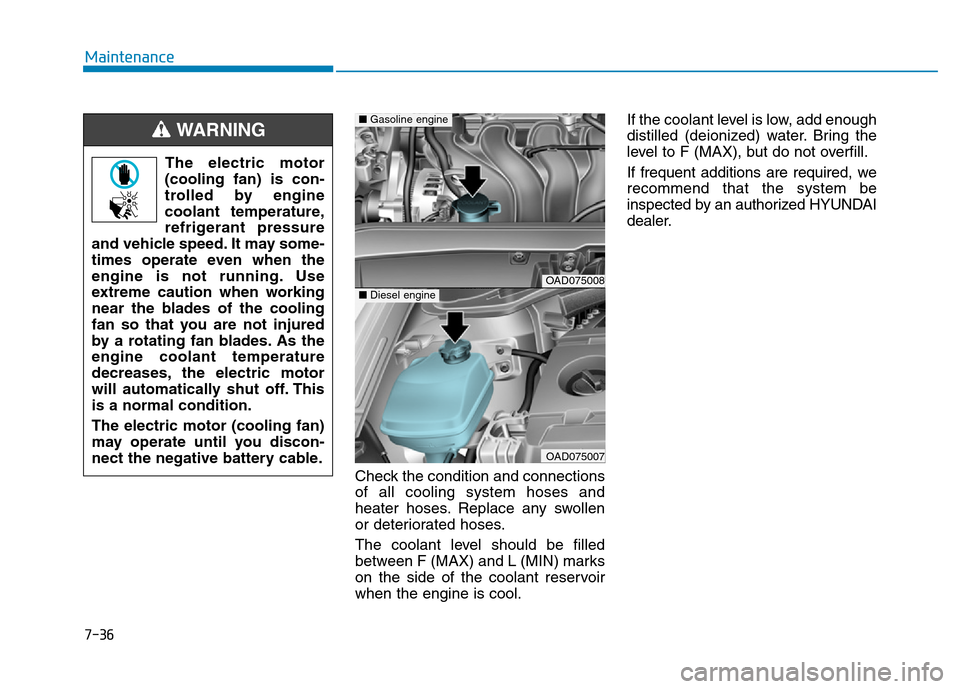 Hyundai Elantra 2017 Owners Manual 7-36
Maintenance
Check the condition and connections
of all cooling system hoses and
heater hoses. Replace any swollen
or deteriorated hoses.
The coolant level should be filled
between F (MAX) and L ( Hyundai Elantra 2017 Owners Manual 7-36
Maintenance
Check the condition and connections
of all cooling system hoses and
heater hoses. Replace any swollen
or deteriorated hoses.
The coolant level should be filled
between F (MAX) and L (