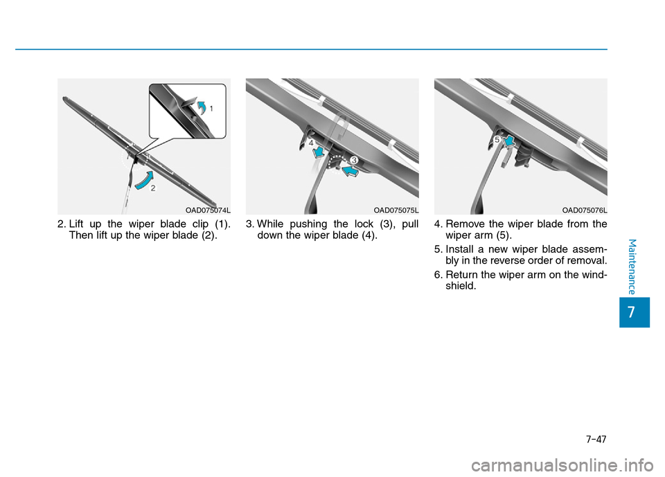 Hyundai Elantra 2017 Owners Manual 7-47
7
Maintenance
2. Lift up the wiper blade clip (1).
Then lift up the wiper blade (2).3. While pushing the lock (3), pull
down the wiper blade (4).4. Remove the wiper blade from the
wiper arm (5).
Hyundai Elantra 2017 Owners Manual 7-47
7
Maintenance
2. Lift up the wiper blade clip (1).
Then lift up the wiper blade (2).3. While pushing the lock (3), pull
down the wiper blade (4).4. Remove the wiper blade from the
wiper arm (5).