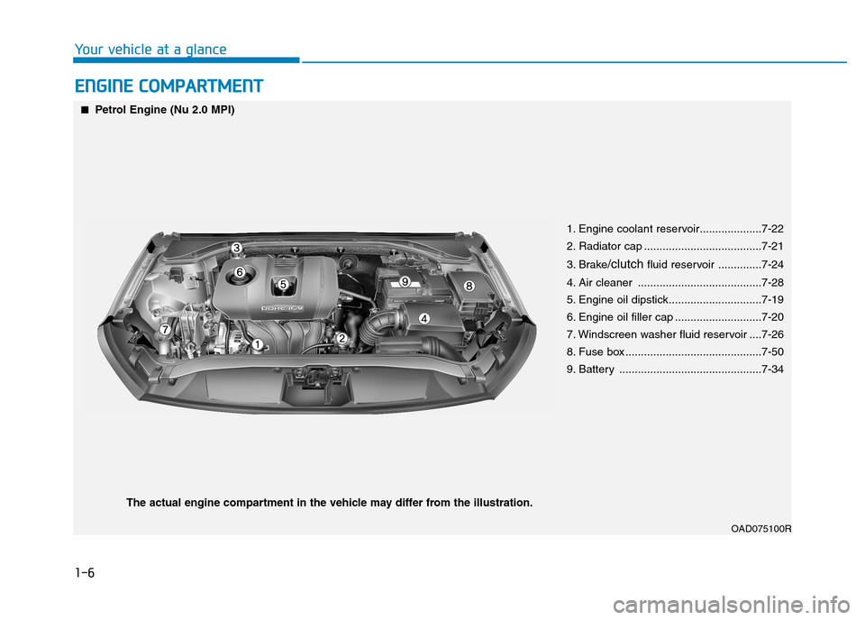 Hyundai Elantra 2017 Owners Manual - RHD (UK. Australia) EENNGGIINNEE CCOOMMPPAARRTTMMEENNTT
1-6
Yo u r v e h i c l e a t a g l a n c e
OAD075100R
■■Petrol Engine (Nu 2.0 MPI)
1. Engine coolant reservoir....................7-22
2. Radiator Hyundai Elantra 2017 Owners Manual - RHD (UK. Australia) EENNGGIINNEE CCOOMMPPAARRTTMMEENNTT
1-6
Yo u r v e h i c l e a t a g l a n c e
OAD075100R
■■Petrol Engine (Nu 2.0 MPI)
1. Engine coolant reservoir....................7-22
2. Radiator