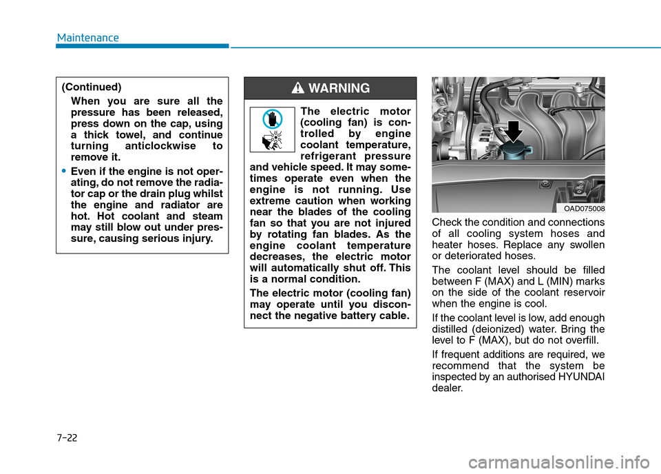 Hyundai Elantra 2017  Owners Manual - RHD (UK. Australia) 7-22
Maintenance
Check the condition and connections
of  all  cooling  system  hoses  and
heater  hoses. Replace  any  swollen
or deteriorated hoses.
The  coolant  level  should  be  filled
between F 