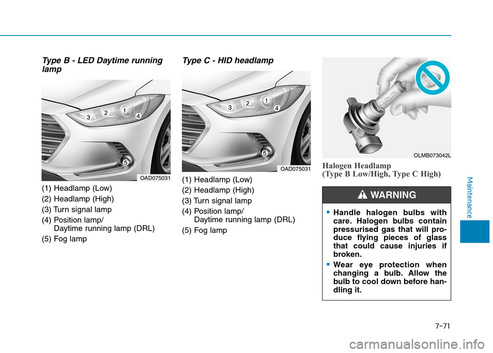 Hyundai Elantra 2017  Owners Manual - RHD (UK. Australia) 7-71
7
Maintenance
Ty p e   B   -   L E D   D ay t i m e   r u n n i n g
lamp
(1) Headlamp (Low)
(2) Headlamp (High)
(3) Turn signal lamp
(4) Position lamp/
Daytime running lamp (DRL)
(5) Fog lamp
Ty 