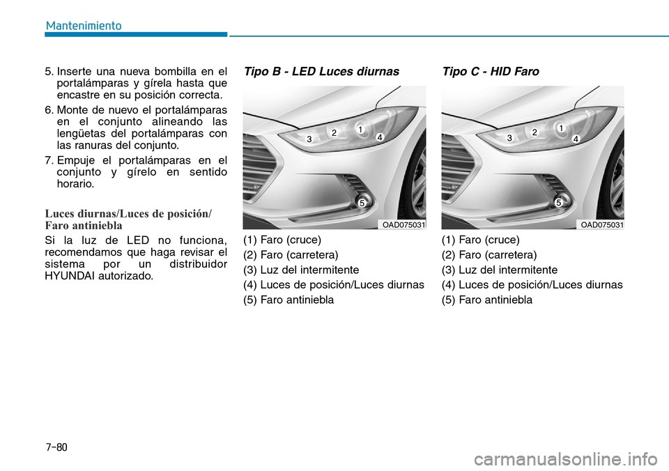 Hyundai Elantra 2017 Manual del propietario (in Spanish) 7-80
Mantenimiento
5. Inserte una nueva bombilla en el
portalámparas y gírela hasta que
encastre en su posición correcta.
6. Monte de nuevo el portalámparas
en el conjunto alineando las
lengüetas Hyundai Elantra 2017 Manual del propietario (in Spanish) 7-80
Mantenimiento
5. Inserte una nueva bombilla en el
portalámparas y gírela hasta que
encastre en su posición correcta.
6. Monte de nuevo el portalámparas
en el conjunto alineando las
lengüetas