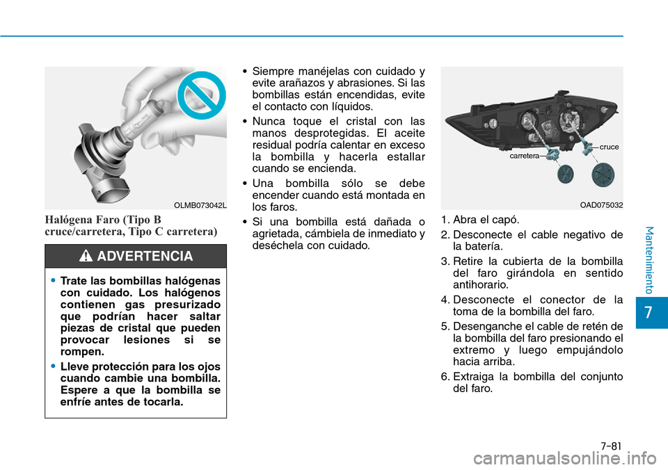 Hyundai Elantra 2017 Manual del propietario (in Spanish) 7-81
7
MantenimientoHalógena Faro (Tipo B
cruce/carretera, Tipo C carretera)
• Siempre manéjelas con cuidado y
evite arañazos y abrasiones. Si las
bombillas están encendidas, evite
el contacto c Hyundai Elantra 2017 Manual del propietario (in Spanish) 7-81
7
MantenimientoHalógena Faro (Tipo B
cruce/carretera, Tipo C carretera)
• Siempre manéjelas con cuidado y
evite arañazos y abrasiones. Si las
bombillas están encendidas, evite
el contacto c