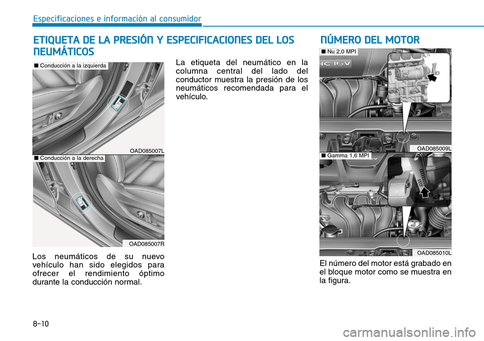 Hyundai Elantra 2017  Manual del propietario (in Spanish) 8-10
Especificaciones e información al consumidor
Los neumáticos de su nuevo
vehículo han sido elegidos para
ofrecer el rendimiento óptimo
durante la conducción normal.La etiqueta del neumático 