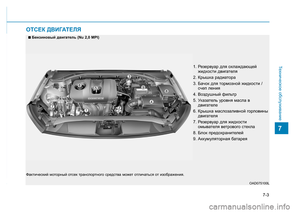 Hyundai Elantra 2017 Инструкция по эксплуатации (in Russian) 7-3
Техническое обслуживание
7
ОТСЕК ДВИГАТЕЛЯ
1. Резервуар для охлаждающей
жидкости двигателя
2. Крышка радиа Hyundai Elantra 2017 Инструкция по эксплуатации (in Russian) 7-3
Техническое обслуживание
7
ОТСЕК ДВИГАТЕЛЯ
1. Резервуар для охлаждающей
жидкости двигателя
2. Крышка радиа