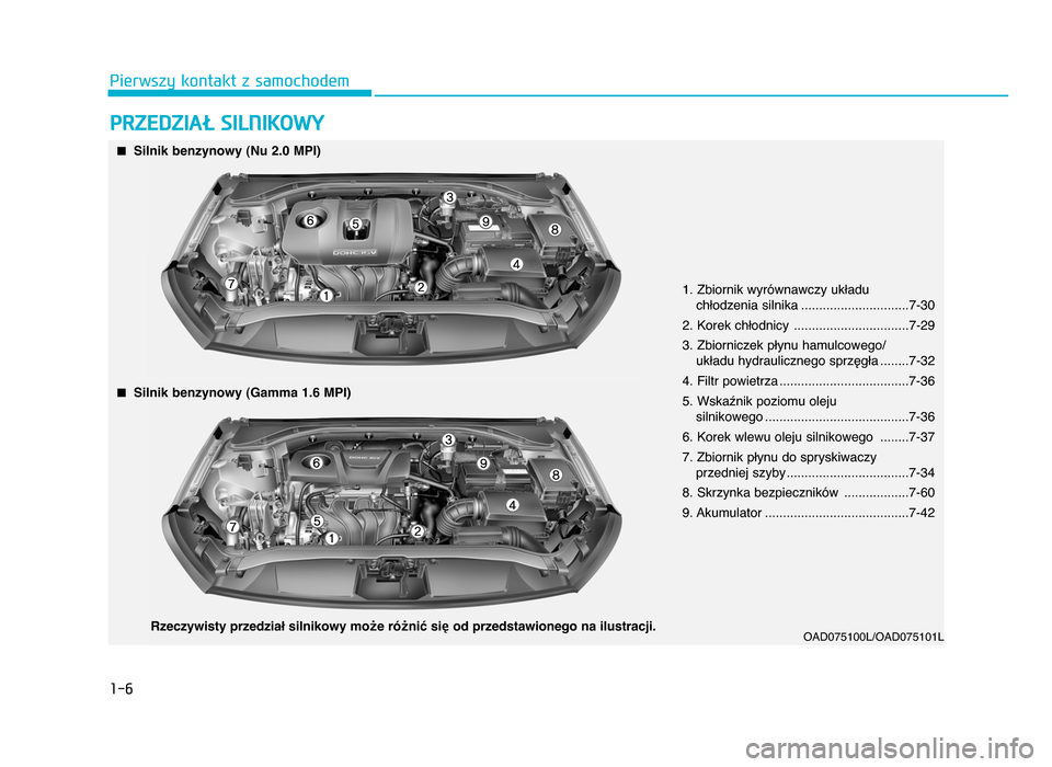Hyundai Elantra 2016 Instrukcja Obsługi (in Polish) 1-6
Pierwszy kontakt z samochodem
PRZEDZIAŁ SI\fNIKOWY
OAD\b751\b\bL/OAD\b751\b1L
nSilnik benzynowy (\fu 2.0 MPI)
1. Zbiornik wyrównawczy układu chłodzenia silnika ..............................7- Hyundai Elantra 2016 Instrukcja Obsługi (in Polish) 1-6
Pierwszy kontakt z samochodem
PRZEDZIAŁ SI\fNIKOWY
OAD\b751\b\bL/OAD\b751\b1L
nSilnik benzynowy (\fu 2.0 MPI)
1. Zbiornik wyrównawczy układu chłodzenia silnika ..............................7-