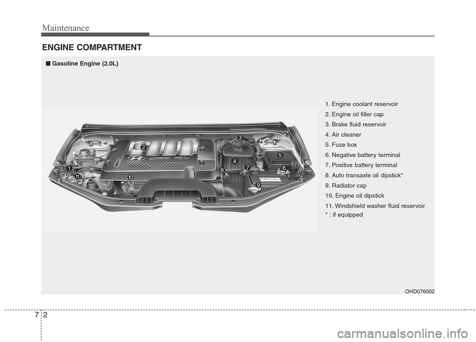 Hyundai Elantra 2010  Owners Manual 
Maintenance
2
7
ENGINE COMPARTMENT
OHD076002
1. Engine coolant reservoir
2. Engine oil filler cap
3. Brake fluid reservoir
4. Air cleaner
5. Fuse box
6. Negative battery terminal
7. Positive battery 