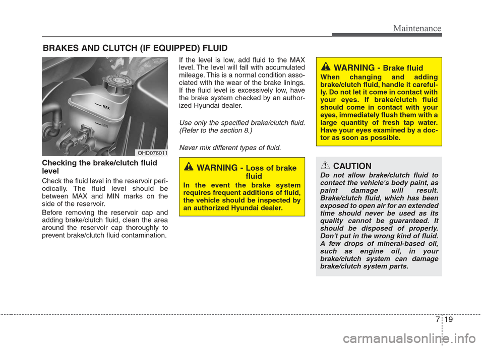 Hyundai Elantra 2010  Owners Manual 
719
Maintenance
BRAKES AND CLUTCH (IF EQUIPPED) FLUID
Checking the brake/clutch fluid
level  
Check the fluid level in the reservoir peri-
odically. The fluid level should be
between MAX and MIN mark