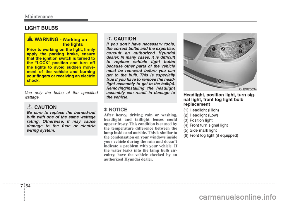 Hyundai Elantra 2010  Owners Manual 
Maintenance
54
7
LIGHT BULBS
Use only the bulbs of the specified
wattage.
✽
✽ NOTICE
After heavy, driving rain or washing,
headlight and taillight lenses could
appear frosty. This condition is ca