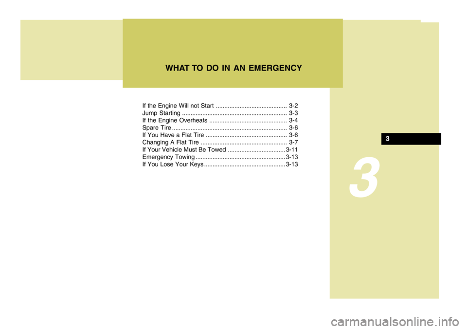 Hyundai Elantra 2006  Owners Manual 3
If the Engine Will not Start .......................................... 3-2 
Jump Starting .............................................................. 3-3
If the Engine Overheats ................