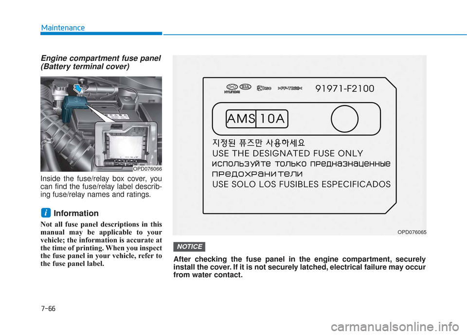 Hyundai Elantra GT 2018 Owners Manual 7-66
Maintenance
Engine compartment fuse panel(Battery terminal cover)
Inside the fuse/relay box cover, you
can find the fuse/relay label describ-
ing fuse/relay names and ratings.
Information
Not all Hyundai Elantra GT 2018 Owners Manual 7-66
Maintenance
Engine compartment fuse panel(Battery terminal cover)
Inside the fuse/relay box cover, you
can find the fuse/relay label describ-
ing fuse/relay names and ratings.
Information
Not all