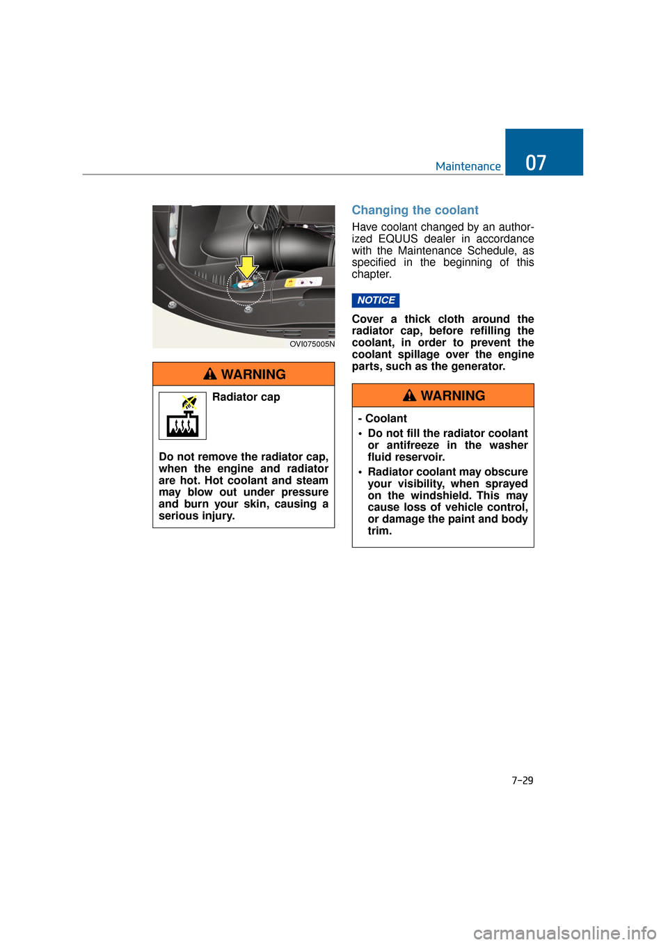 Hyundai Equus 2016  Owners Manual 7-29
Maintenance07
Changing the coolant
Have coolant changed by an author-
ized EQUUS dealer in accordance
with the Maintenance Schedule, as
specified in the beginning of this
chapter.
Cover a thick c