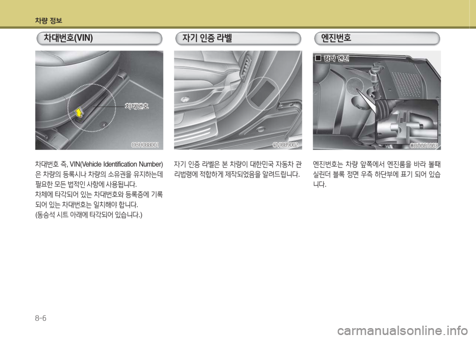 Hyundai Equus 2015  에쿠스 VI - 사용 설명서 (in Korean) 차량 정보 8-6
8