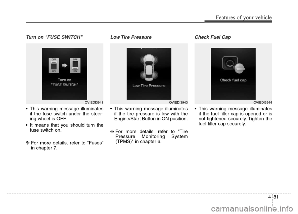 Hyundai Equus 2014  Owners Manual 481
Features of your vehicle
Turn on "FUSE SWITCH" 
• This warning message illuminates
if the fuse switch under the steer-
ing wheel is OFF.
• It means that you should turn the
fuse switch on.
❈