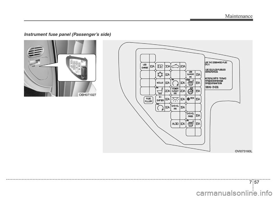 Hyundai Equus 2014  Owners Manual 757
Maintenance
Instrument fuse panel (Passenger’s side) 
OVI073160L
OBH071027 