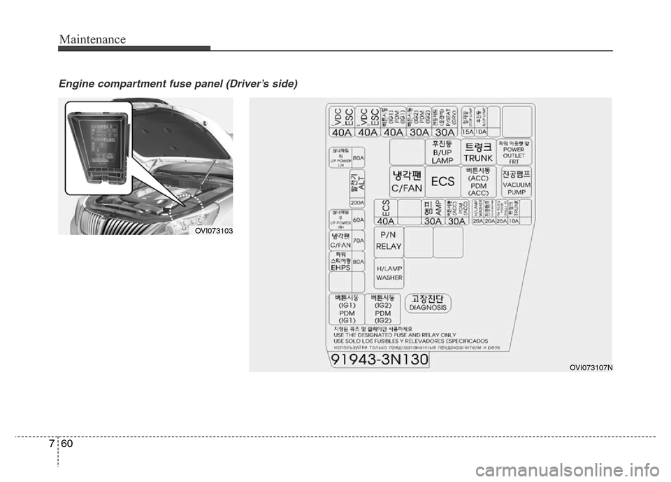 Hyundai Equus 2014  Owners Manual Maintenance
60 7
Engine compartment fuse panel (Driver’s side)
OVI073103
OVI073107N 