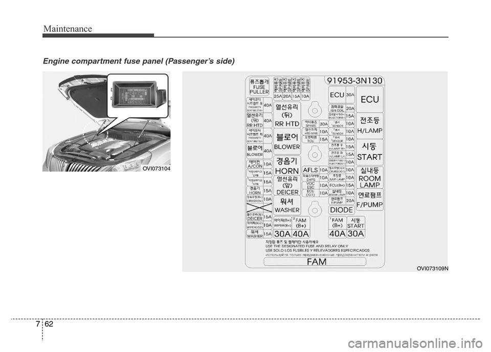 Hyundai Equus 2014  Owners Manual Maintenance
62 7
Engine compartment fuse panel (Passenger’s side)
OVI073104
OVI073109N 