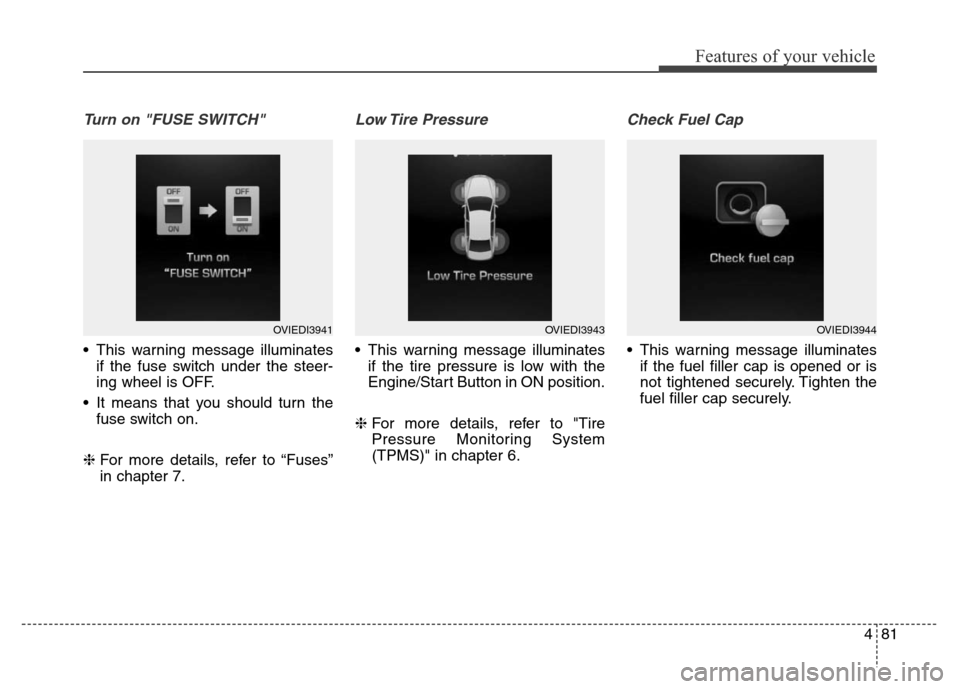 Hyundai Equus 2013  Owners Manual 481
Features of your vehicle
Turn on "FUSE SWITCH" 
• This warning message illuminates
if the fuse switch under the steer-
ing wheel is OFF.
• It means that you should turn the
fuse switch on.
❈