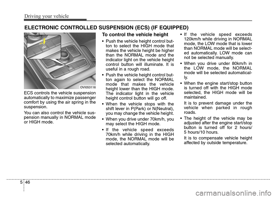 Hyundai Equus 2013  Owners Manual Driving your vehicle
46 5
ECS controls the vehicle suspension
automatically to maximize passenger
comfort by using the air spring in the
suspension.
You can also control the vehicle sus-
pension manua
