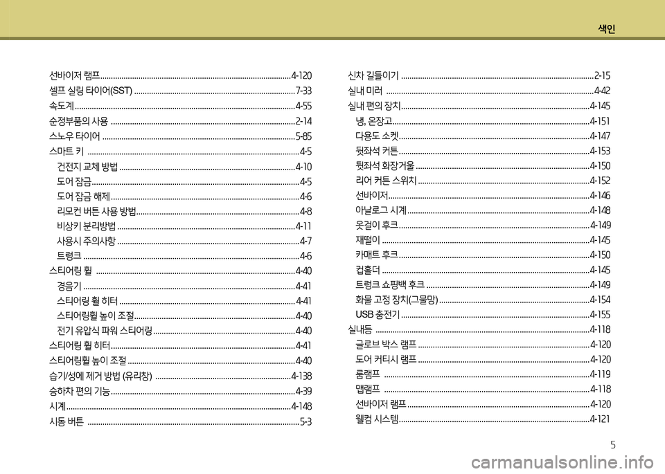 Hyundai Equus 2013  에쿠스 VI - 사용 설명서 (in Korean) 색인5
선(
