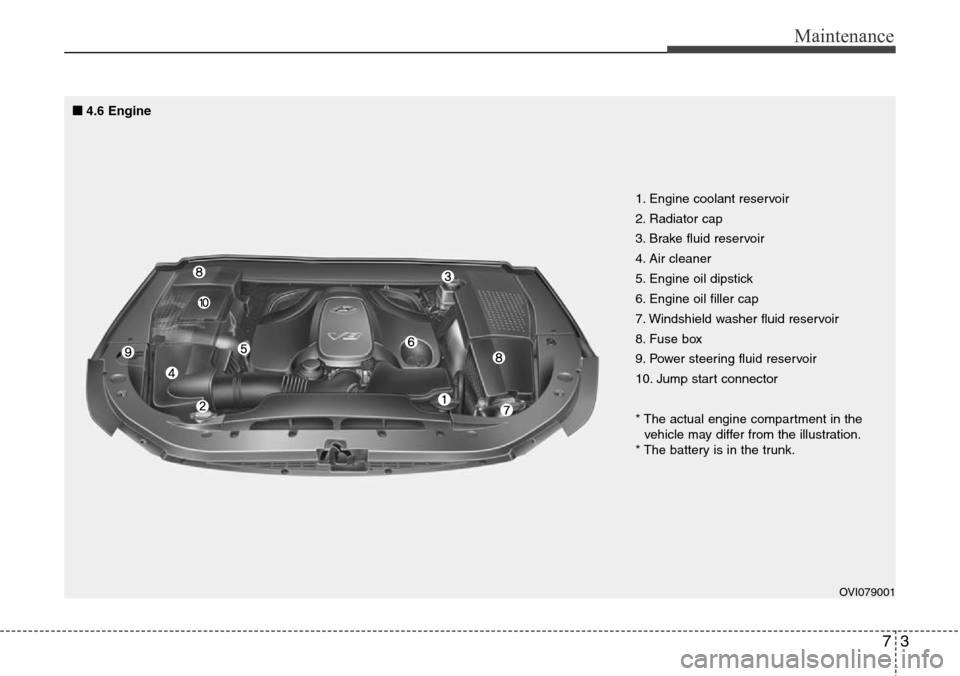 Hyundai Equus 2012  Owners Manual 73
Maintenance
OVI079001
1. Engine coolant reservoir
2. Radiator cap
3. Brake fluid reservoir
4. Air cleaner
5. Engine oil dipstick
6. Engine oil filler cap
7. Windshield washer fluid reservoir
8. Fus