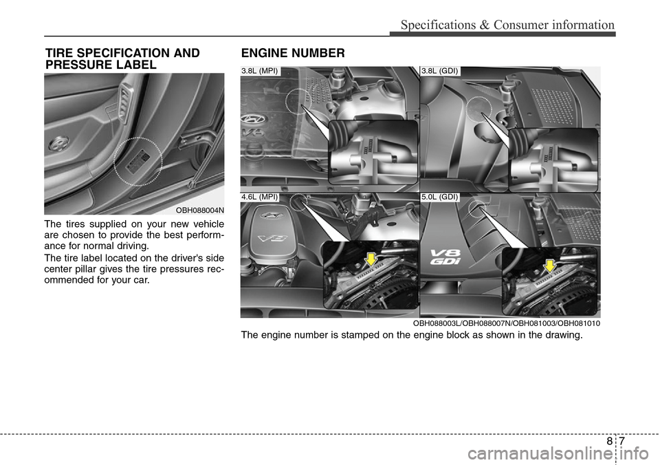 Hyundai Equus 2012  Owners Manual 87
Specifications & Consumer information
The tires supplied on your new vehicle
are chosen to provide the best perform-
ance for normal driving.
The tire label located on the drivers side
center pill