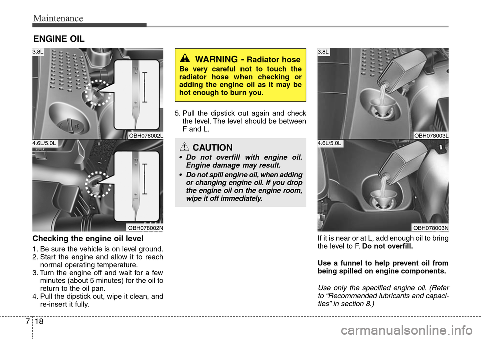 Hyundai Equus 2011  Owners Manual Maintenance
18 7
ENGINE OIL
Checking the engine oil level  
1. Be sure the vehicle is on level ground.
2. Start the engine and allow it to reach
normal operating temperature.
3. Turn the engine off an