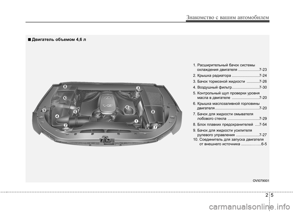 Hyundai Equus 2011  Инструкция по эксплуатации (in Russian) 25
Знакомство с вашим автомобилем
OVI079001
1. Расширительный бачок системы
охлаждения двигателя ....................7-23
2. К