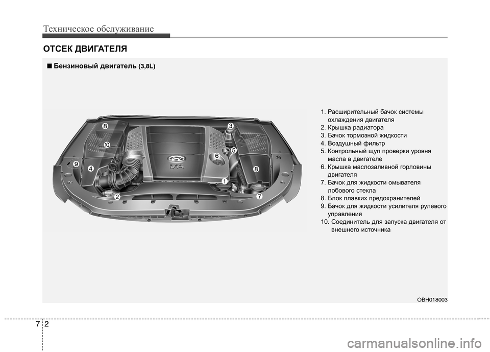 Hyundai Equus 2011 Инструкция по эксплуатации (in Russian) Техническое обслуживание
2
7
ОТСЕК ДВИГАТЕЛЯ
■■
Бензиновый двигатель (3,8L)
1. Расширительный бачок системыохл Hyundai Equus 2011 Инструкция по эксплуатации (in Russian) Техническое обслуживание
2
7
ОТСЕК ДВИГАТЕЛЯ
■■
Бензиновый двигатель (3,8L)
1. Расширительный бачок системыохл