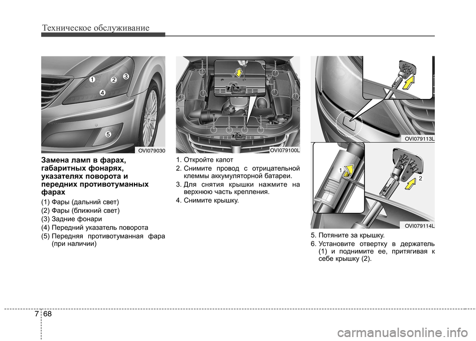 Hyundai Equus 2011 Инструкция по эксплуатации (in Russian) Техническое обслуживание
68
7
Техническое обслуживание
Замена ламп в фарах,
габаритных фонарях,
указателях п Hyundai Equus 2011 Инструкция по эксплуатации (in Russian) Техническое обслуживание
68
7
Техническое обслуживание
Замена ламп в фарах,
габаритных фонарях,
указателях п