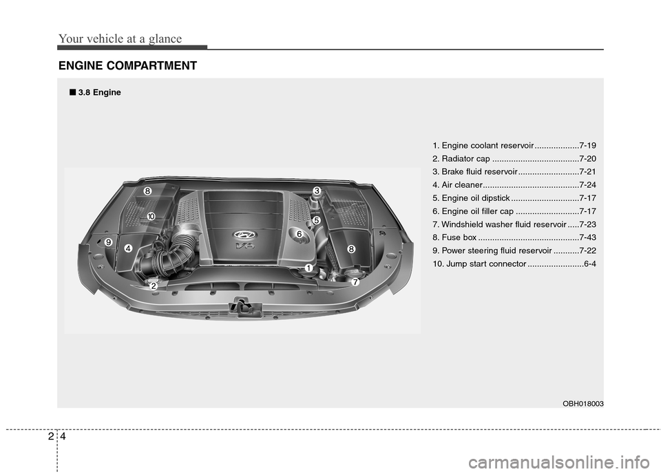 Hyundai Equus 2010 User Guide Your vehicle at a glance
4
2
ENGINE COMPARTMENT
1. Engine coolant reservoir ...................7-19 
2. Radiator cap .....................................7-20
3. Brake fluid reservoir ................