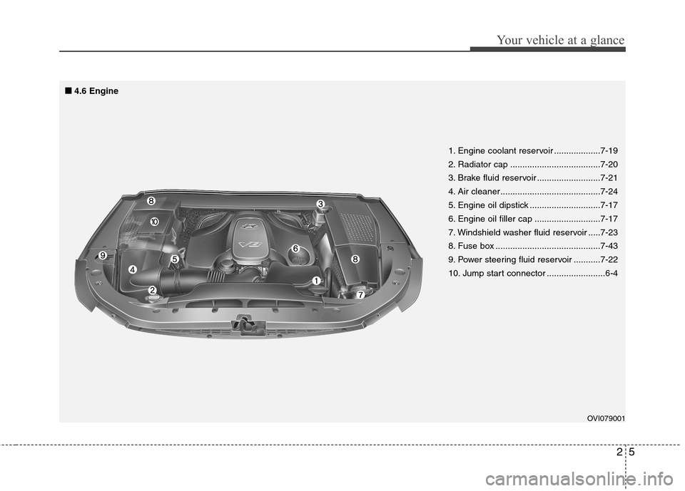 Hyundai Equus 2010 User Guide 25
Your vehicle at a glance
OVI079001
1. Engine coolant reservoir ...................7-19 
2. Radiator cap .....................................7-20
3. Brake fluid reservoir ..........................