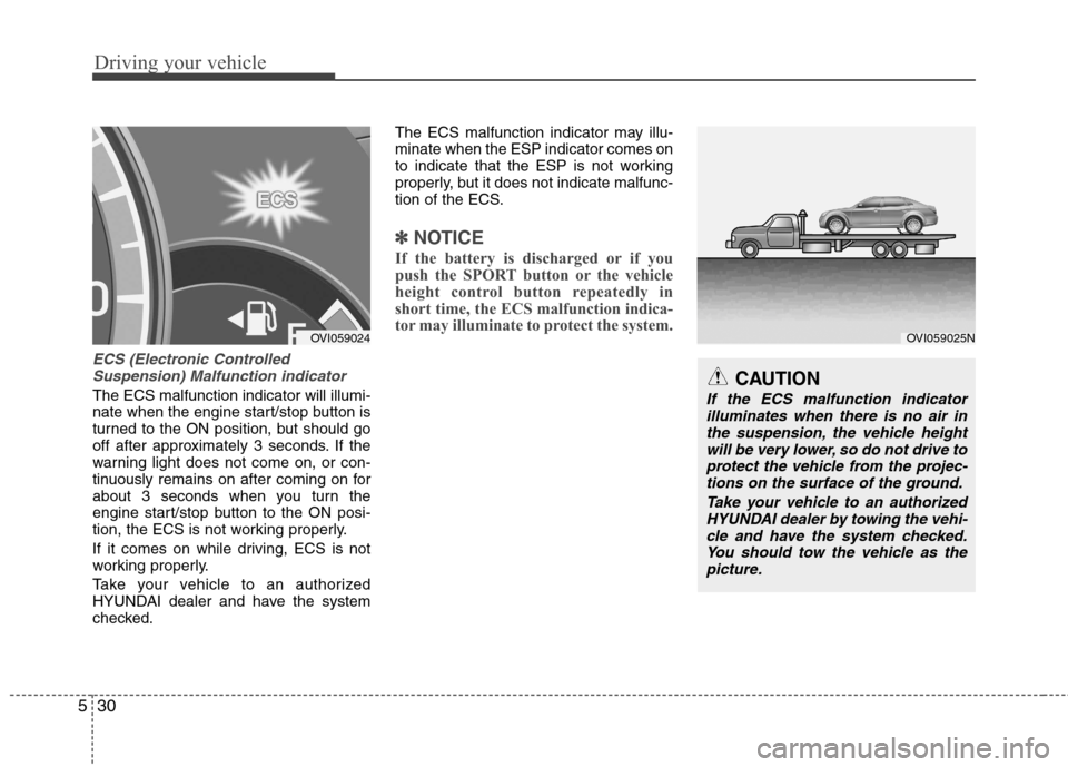 Hyundai Equus 2010  Owners Manual Driving your vehicle
30
5
ECS (Electronic Controlled
Suspension) Malfunction indicator
The ECS malfunction indicator will illumi- 
nate when the engine start/stop button is
turned to the ON position, 