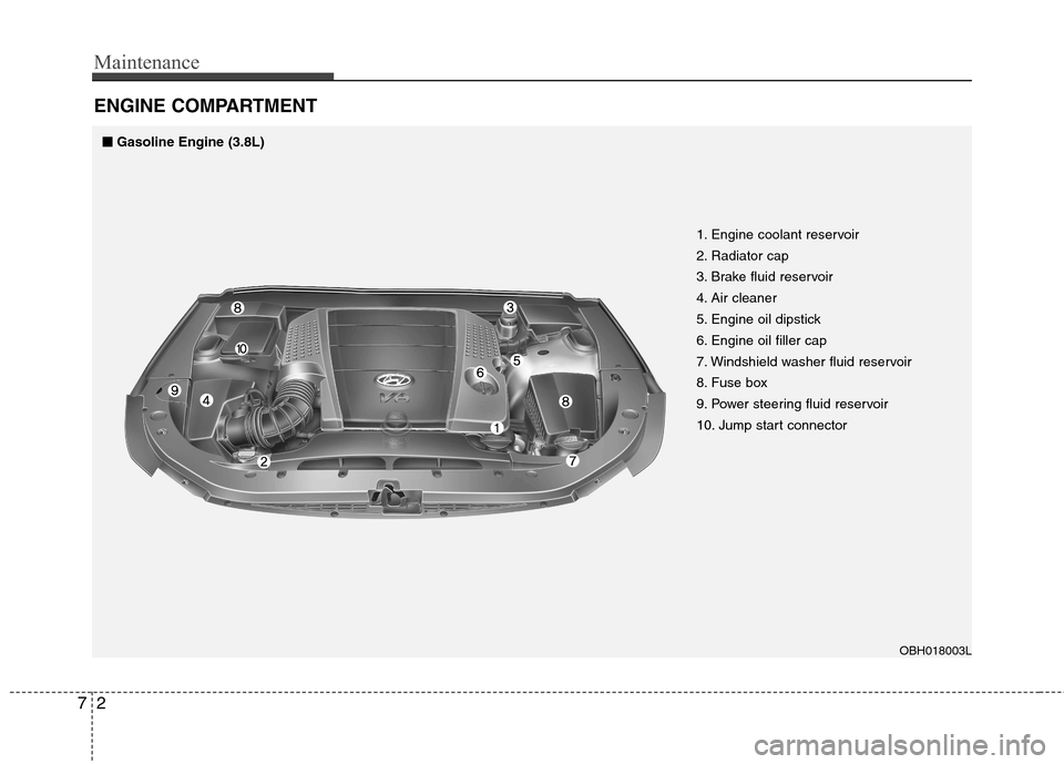 Hyundai Equus 2010  Owners Manual Maintenance
2
7
ENGINE COMPARTMENT 
■■
Gasoline Engine (3.8L)
1. Engine coolant reservoir 
2. Radiator cap
3. Brake fluid reservoir
4. Air cleaner
5. Engine oil dipstick
6. Engine oil filler cap
7