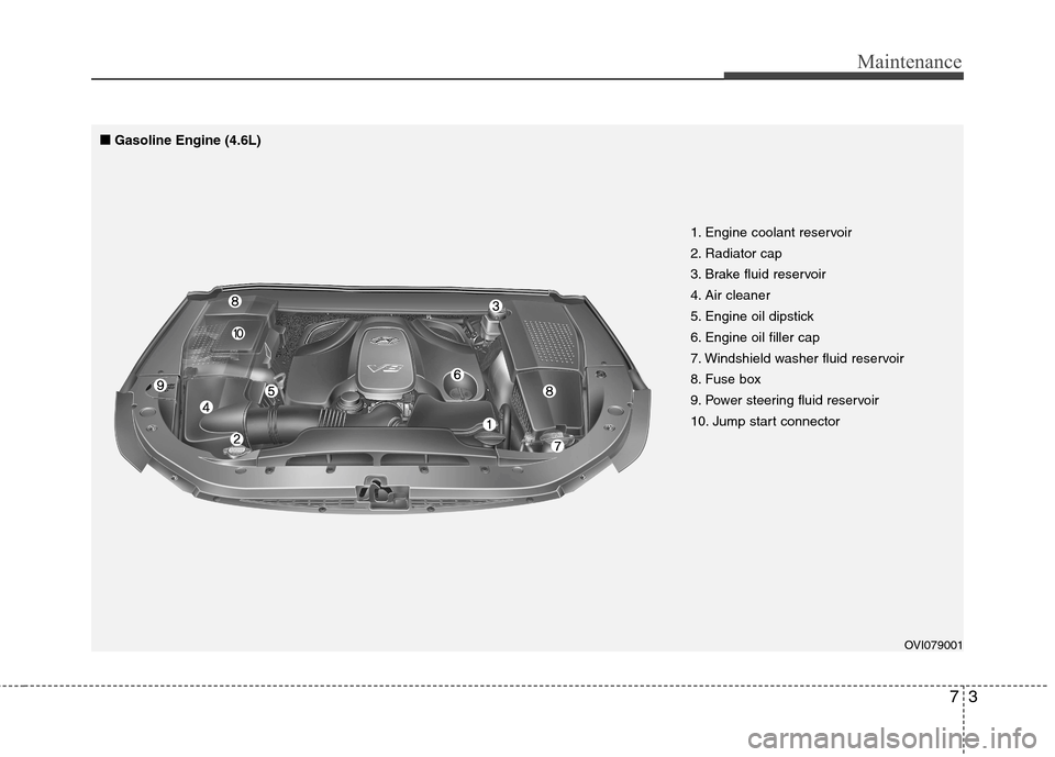 Hyundai Equus 2010  Owners Manual 73
Maintenance
OVI079001
1. Engine coolant reservoir 
2. Radiator cap
3. Brake fluid reservoir
4. Air cleaner
5. Engine oil dipstick
6. Engine oil filler cap
7. Windshield washer fluid reservoir
8. Fu