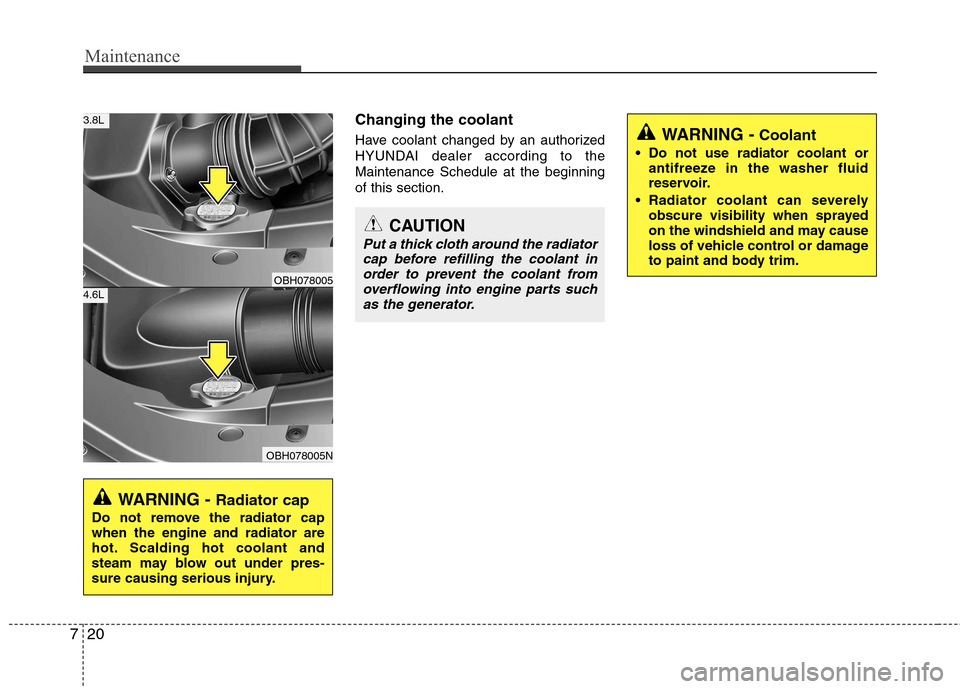 Hyundai Equus 2010  Owners Manual Maintenance
20
7
Changing the coolant 
Have coolant changed by an authorized 
HYUNDAI dealer according to theMaintenance Schedule at the beginningof this section.
WARNING -  Radiator cap
Do not remove