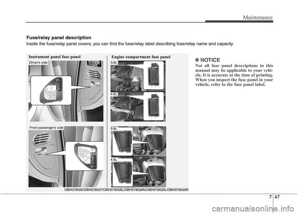 Hyundai Equus 2010  Owners Manual 747
Maintenance
✽✽NOTICE
Not all fuse panel descriptions in this 
manual may be applicable to your vehi-
cle. It is accurate at the time of printing.
When you inspect the fuse panel in your
vehicl