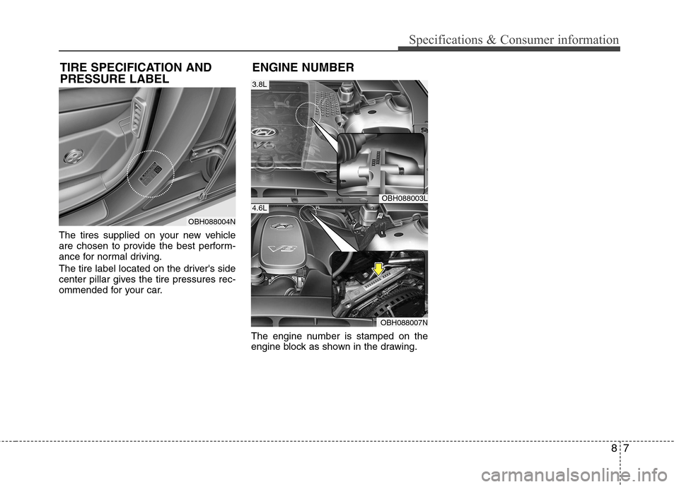 Hyundai Equus 2010 Owners Manual 87
Specifications & Consumer information
The tires supplied on your new vehicle
are chosen to provide the best perform-
ance for normal driving.
The tire label located on the drivers side
center p Hyundai Equus 2010 Owners Manual 87
Specifications & Consumer information
The tires supplied on your new vehicle
are chosen to provide the best perform-
ance for normal driving.
The tire label located on the drivers side
center p