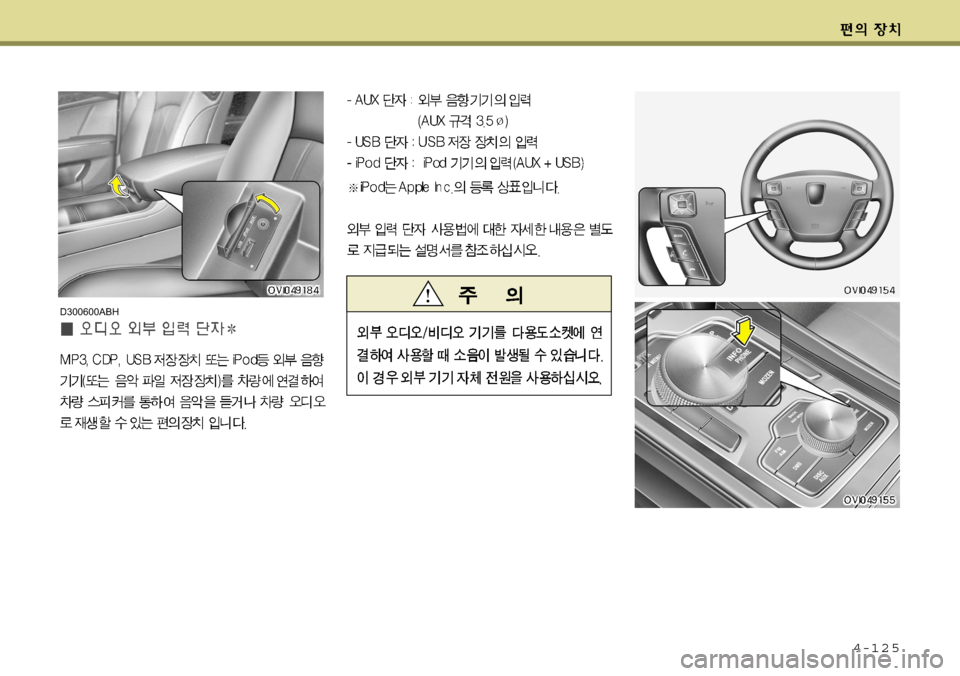 Hyundai Equus 2009  에쿠스 VI - 사용 설명서 (in Korean) 4-125
D300600ABH    