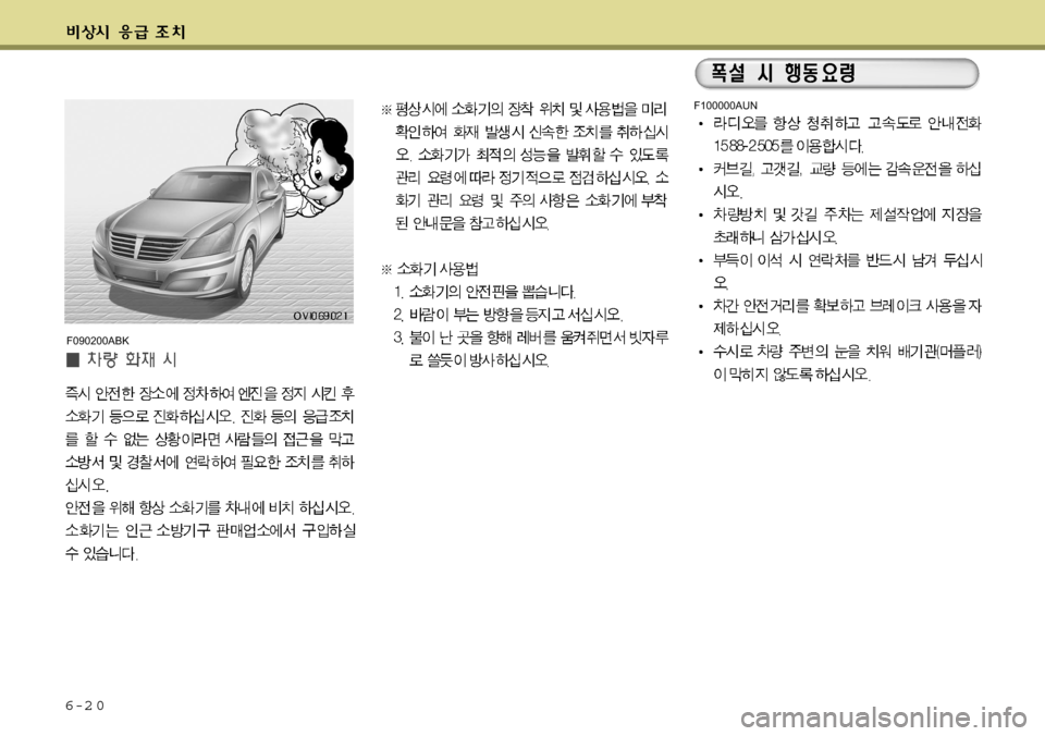 Hyundai Equus 2009  에쿠스 VI - 사용 설명서 (in Korean) F100000AUN
6-2 0F090200ABK  
