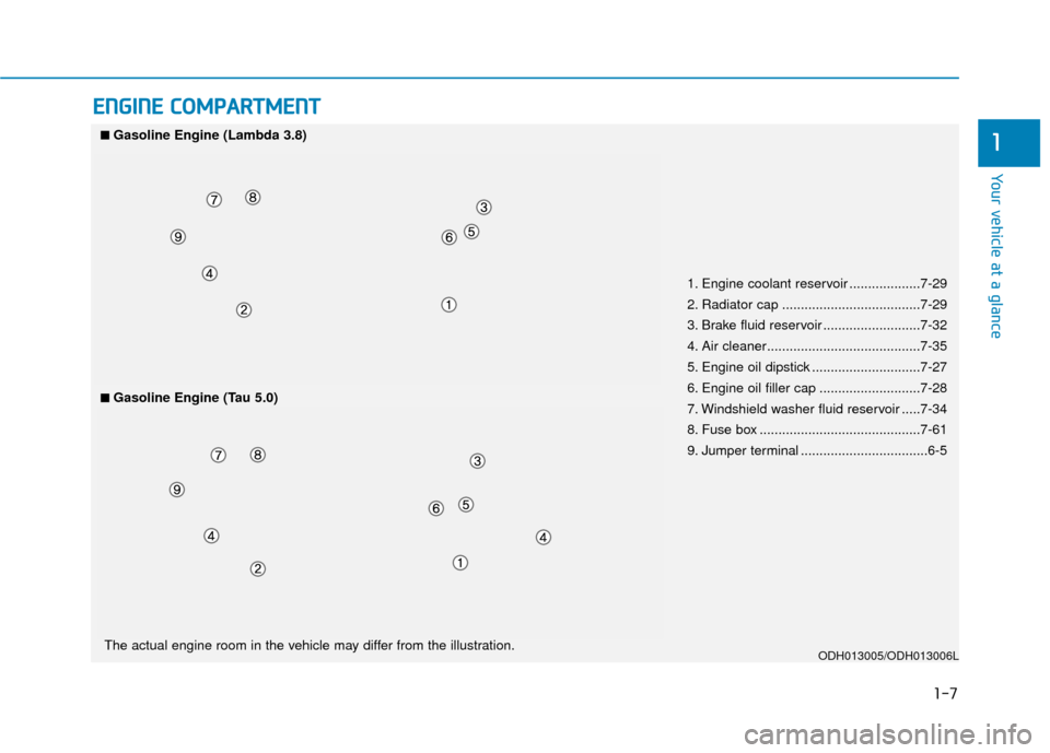Hyundai Genesis 2016  Owners Manual 1-7
Your vehicle at a glance
1
E
EN
N G
GI
IN
N E
E 
 C
C O
O M
M P
PA
A R
RT
TM
M E
EN
N T
T
1. Engine coolant reservoir ...................7-29
2. Radiator cap .....................................7