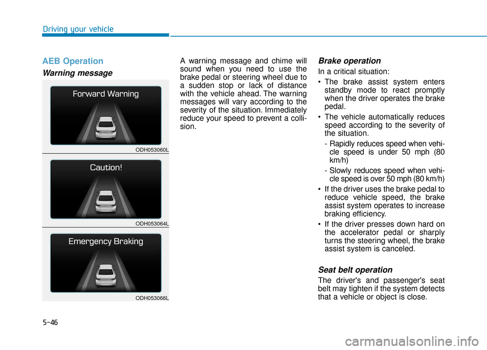 Hyundai Genesis 2016 Owners Manual 5-46
Driving your vehicle
AEB Operation
Warning message
A warning message and chime will
sound when you need to use the
brake pedal or steering wheel due to
a sudden stop or lack of distance
with the Hyundai Genesis 2016 Owners Manual 5-46
Driving your vehicle
AEB Operation
Warning message
A warning message and chime will
sound when you need to use the
brake pedal or steering wheel due to
a sudden stop or lack of distance
with the
