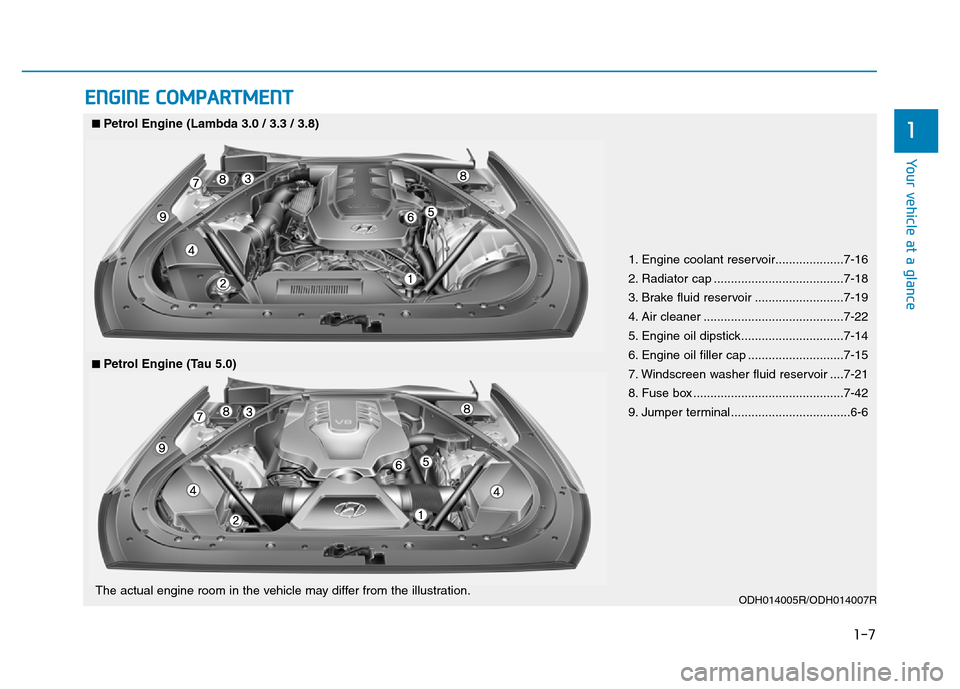 Hyundai Genesis 2016 - RHD (UK, Australia) User Guide 1-7
Your vehicle at a glance
1
ENGINE COMPARTMENT
1. Engine coolant reservoir....................7-16
2. Radiator cap ......................................7-18
3. Brake fluid reservoir .............. Hyundai Genesis 2016 - RHD (UK, Australia) User Guide 1-7
Your vehicle at a glance
1
ENGINE COMPARTMENT
1. Engine coolant reservoir....................7-16
2. Radiator cap ......................................7-18
3. Brake fluid reservoir ..............